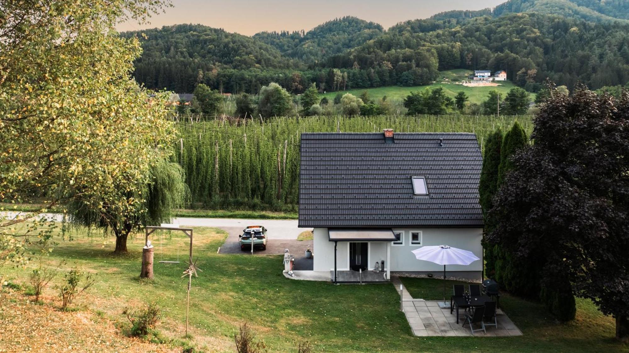 Ferienhaus Treissmann An Der Weinstrasse Лойчах Екстер'єр фото